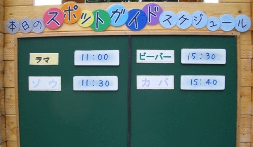 9月11日の予定表