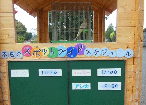 10月6日の予定表