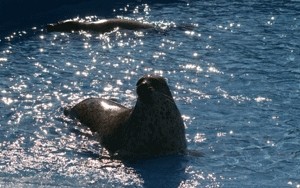 10月１５日の予定表