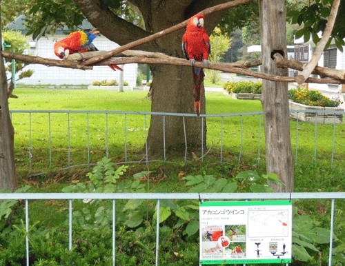 10月17日の予定表