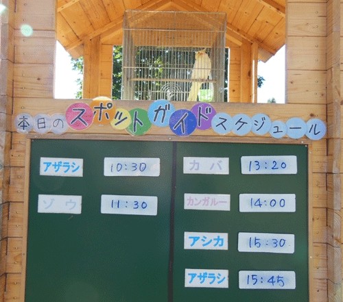 10月18日の予定表