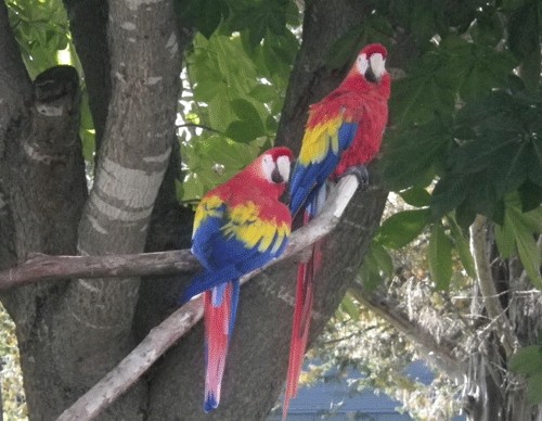 10月22日の予定表