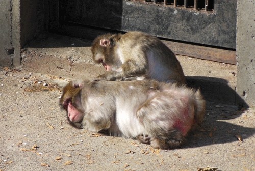 10月25日の予定表