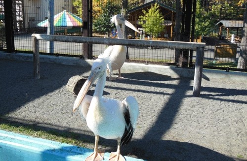 10月26日の予定表