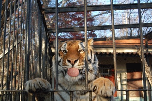 １２月２日の予定表