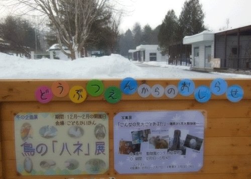 12月15日の予定表