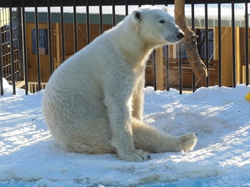1月5日の予定表