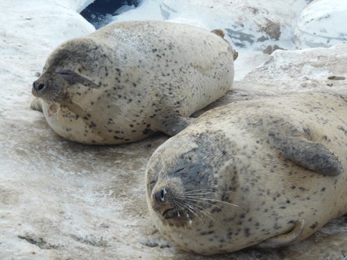 １月12日の予定表