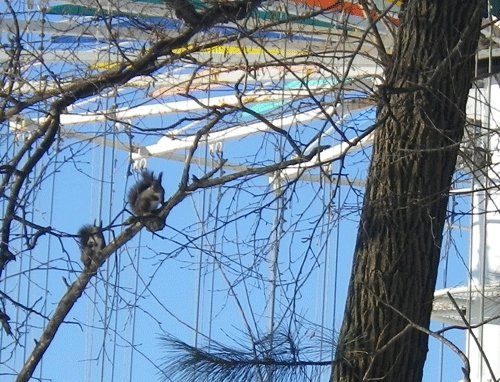 1月20日の予定表