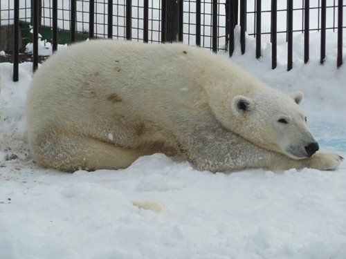 1月26日の予定表