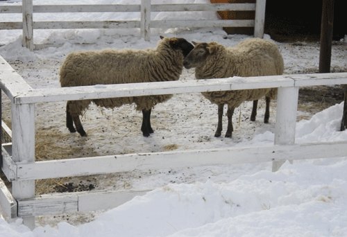 2月10日の予定表