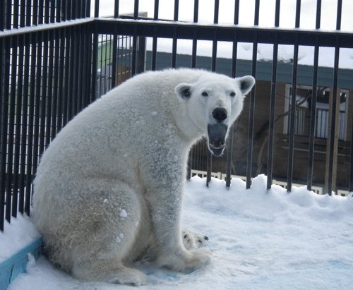 2月11日の予定表