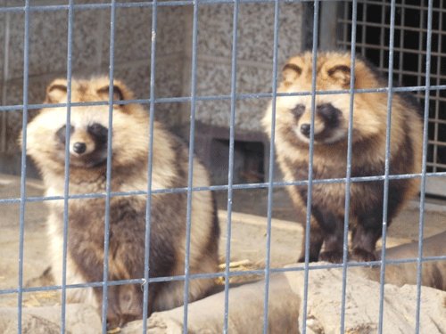 2月16日の予定表