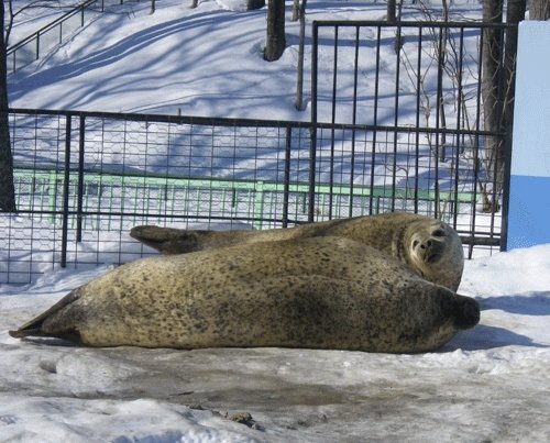 2月17日の予定表