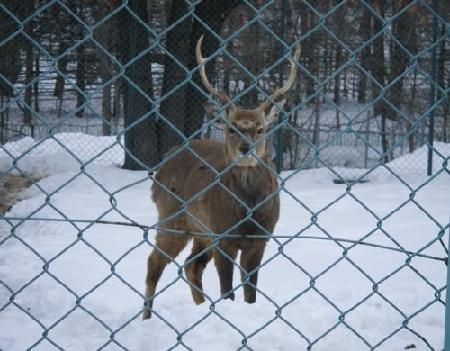 2月24日の予定表