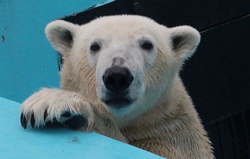 4月30日の予定表