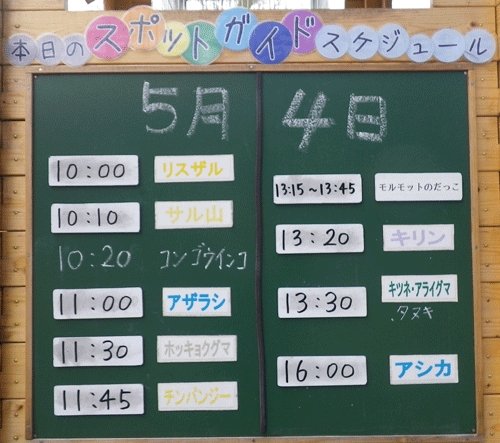 5月4日のスポットガイドの予定表
