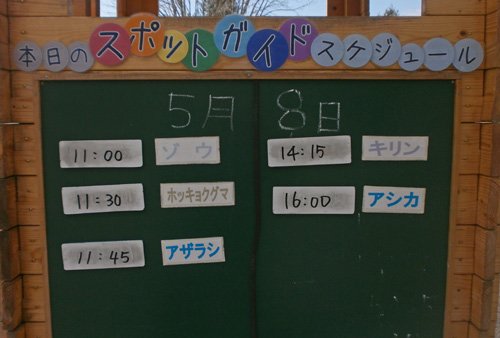 5月8日のスポットガイド