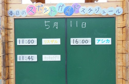 5月11日のスポットガイド