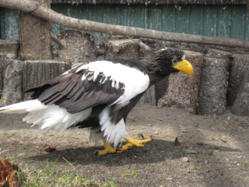 5月12日のスポットガイド