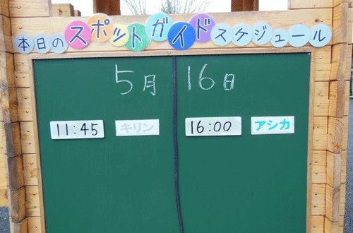 5月16日のスポットガイド