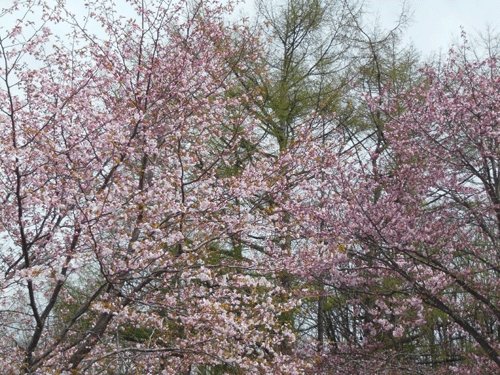 5月17日のスポットガイド