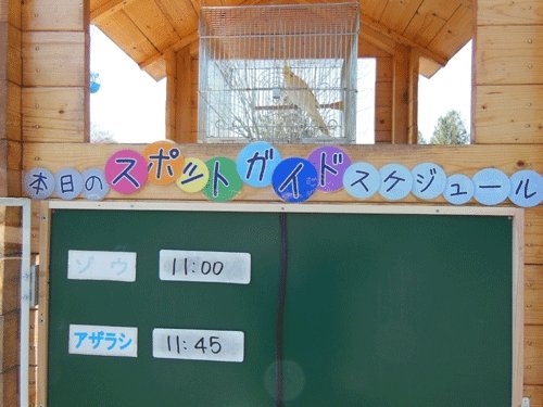 5月21日のスポットガイド