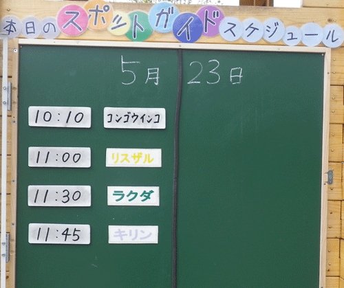 5月23日のスポットガイド