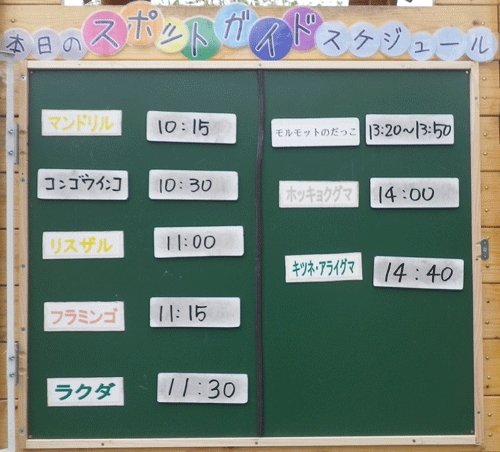 5月26日のスポットガイド