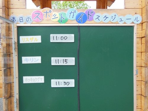 5月28日のスポットガイド