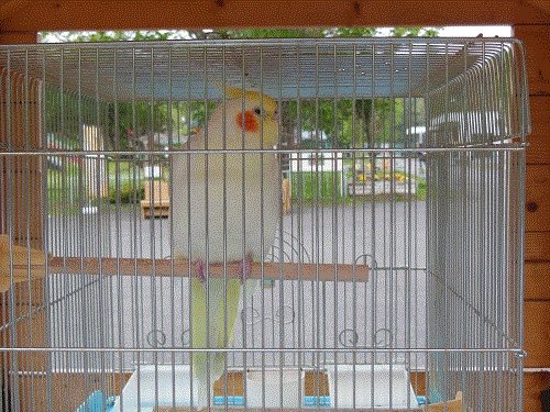 5月29日のスポットガイド