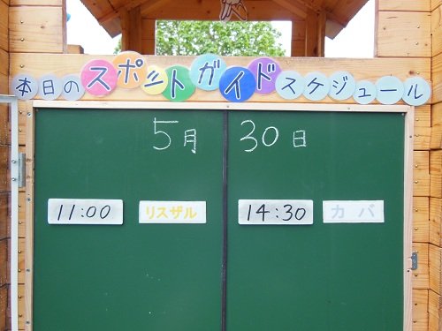 5月30日のスポットガイド