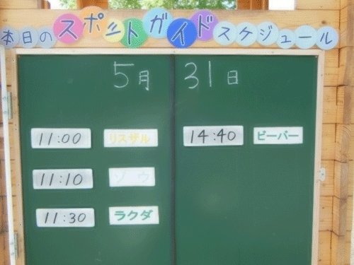 5月31日のスポットガイド