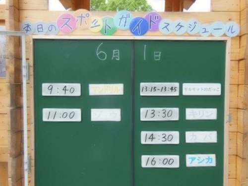 6月1日のスポットガイド