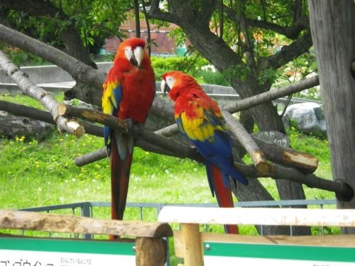 6月2日のスポットガイド