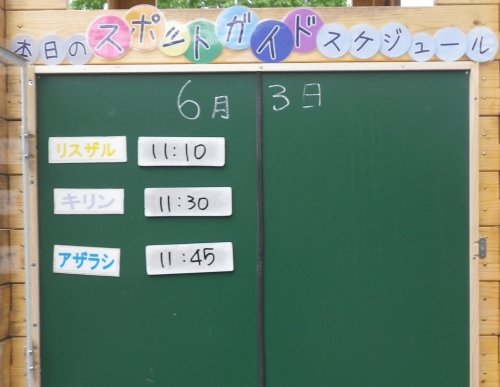 6月3日のスポットガイド