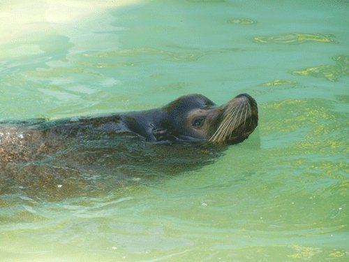 6月7日のスポットガイド