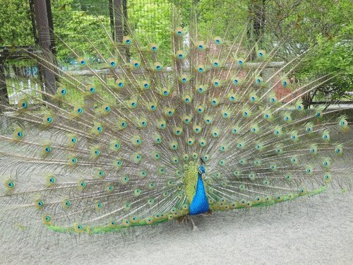 6月8日のスポットガイド