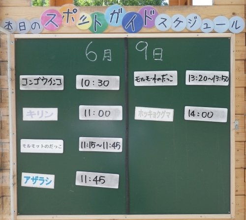 6月9日のスポットガイド