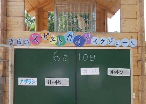 6月10日のスポットガイド