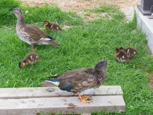 6月12日のスポットガイド