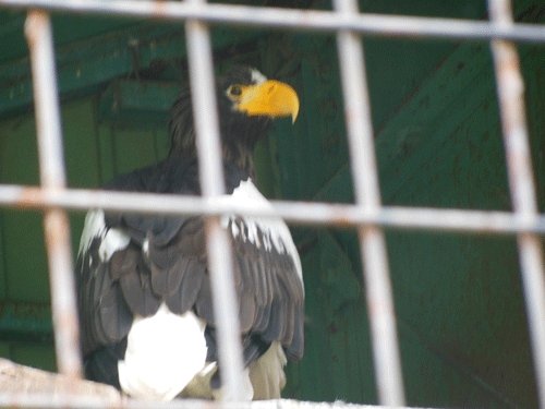 6月13日のスポットガイド