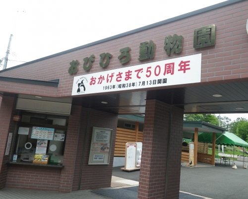 6月17日のスポットガイド