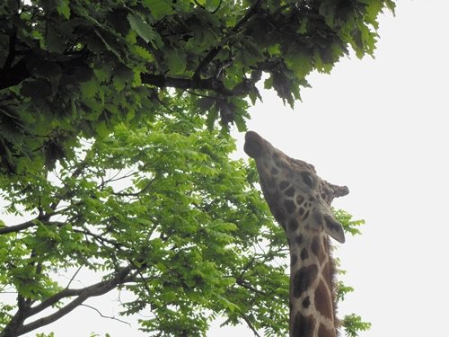 6月18日のスポットガイド