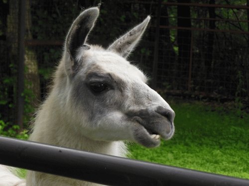 6月19日のスポットガイド