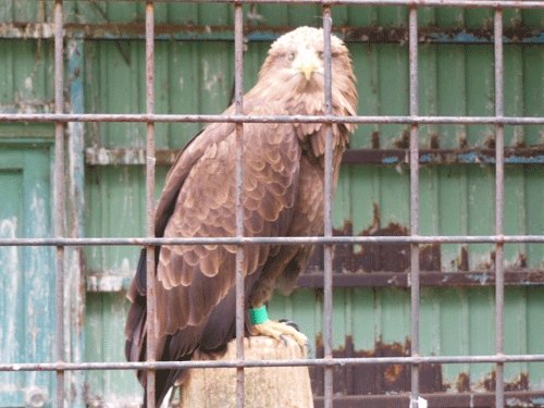 6月21日のスポットガイド