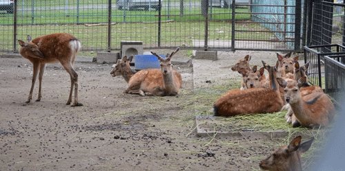 6月22日のスポットガイド
