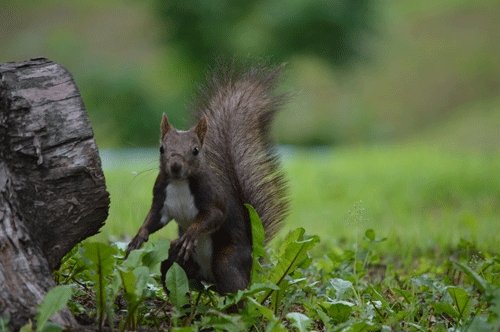 6月23日のスポットガイド