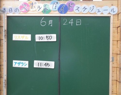 6月24日のスポットガイド