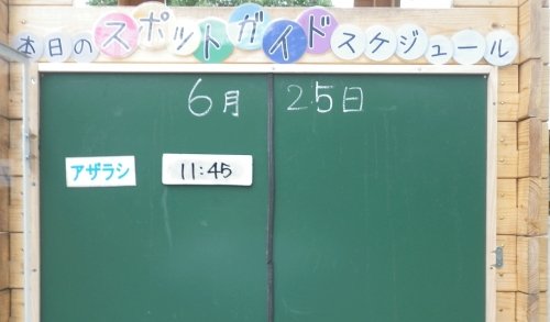 6月25日のスポットガイド